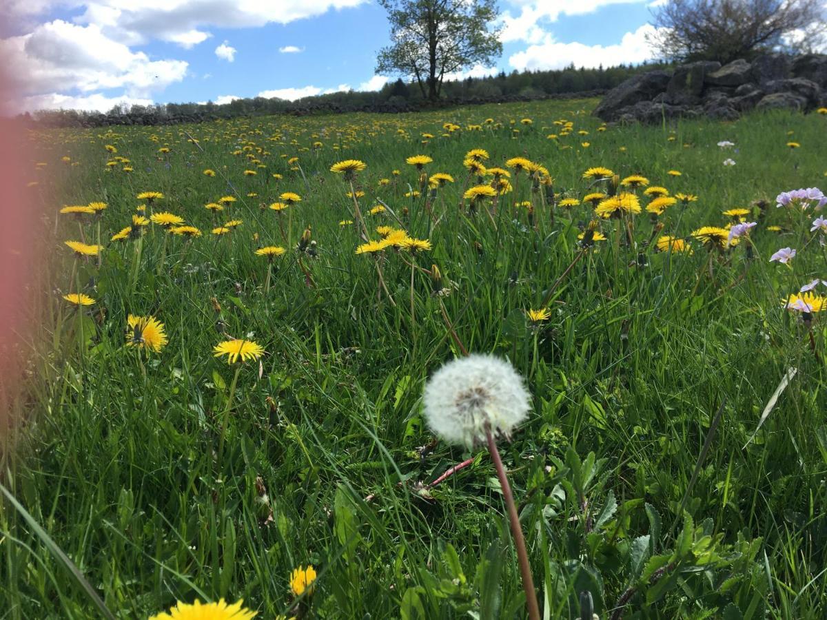Rhoener Sternenhimmel Fewo 1 Und 2 Frankenheim/Rhon 外观 照片